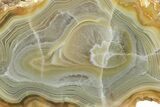 Polished Banded Island Agate Section - South Pacific #150536-1